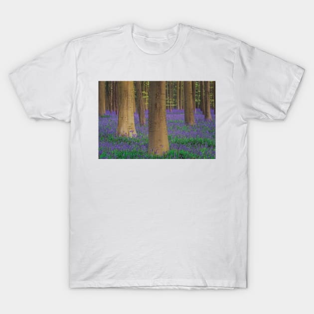 Belgium Hallerbos Forest With Trees And Bluebells T-Shirt by HammiltenJohn